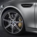 初代BMW M5の登場から30年を記念した特別限定車「30 Jahre M5」